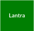 Lantra